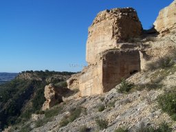 Castillo de Pliego 2009